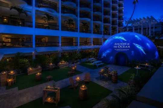 Sounds of the Ocean The Immersive Experience Waikiki
