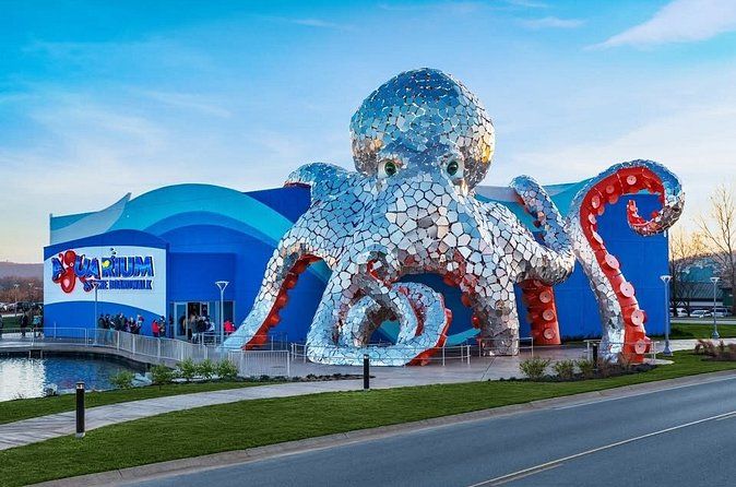 Aquarium at the Boardwalk Admission