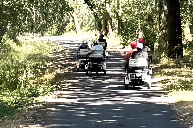 Healdsburg Wine Country Electric Trike and Wine Tour 3 Hours
