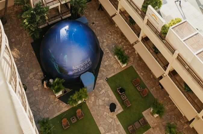 Sounds of the Ocean The Immersive Experience Waikiki