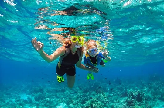 Key Largo Molasses Reef Snorkeling Adventure