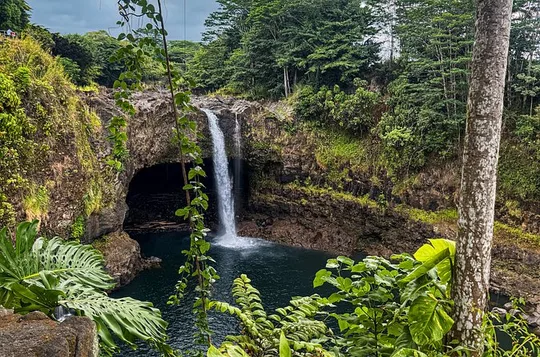 Cachai Hawaii Tours and Private Experiences