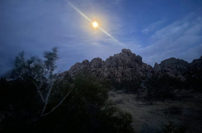 Starlight Hike in Joshua Tree National Park