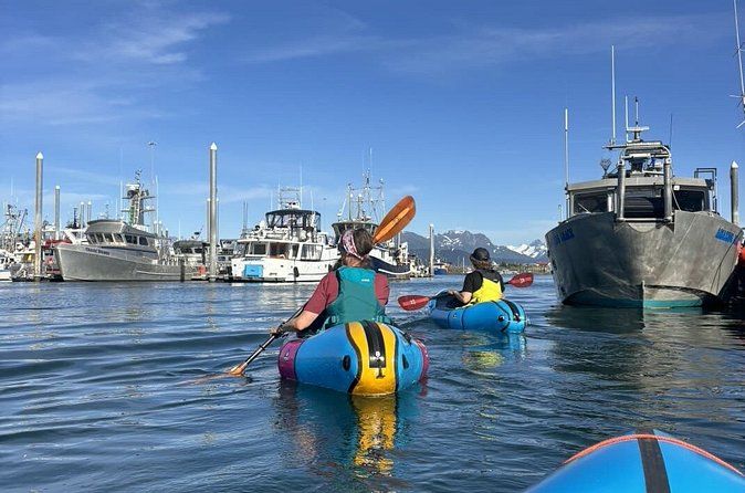 Homer Harbor Paddle