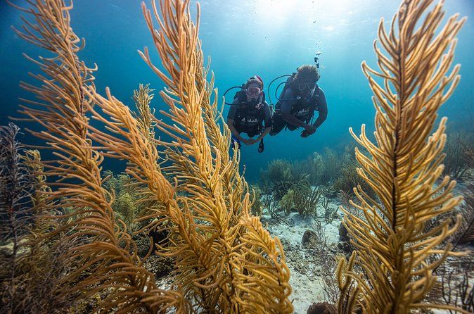Key Largo Florida Scuba Activity