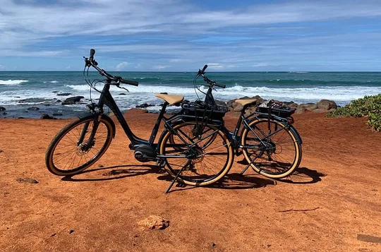 North Shore Maui E-Bike Tour of Hidden Beaches