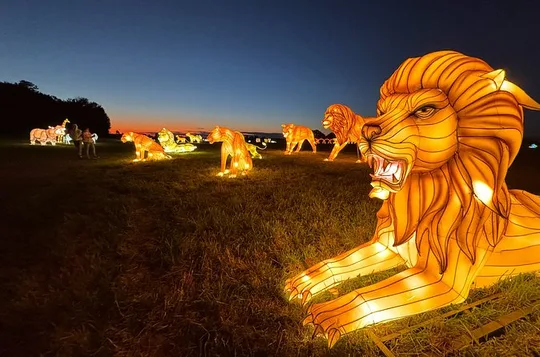 New York Autumn Glow Immersive Chinese Lantern Festival