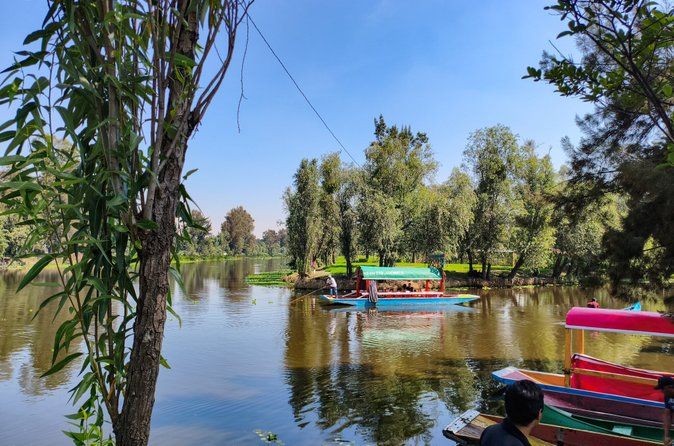 Xochimilco Nature Reserve, Original Doll Island and Axolotls