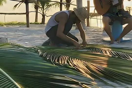Traditional Palm Weaving Workshop with Food and Drinks in Tulum