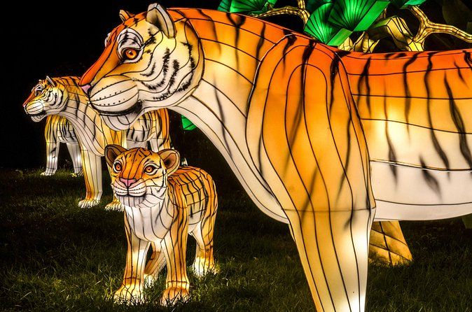 Bronx Zoo Holiday Lights Admission Ticket