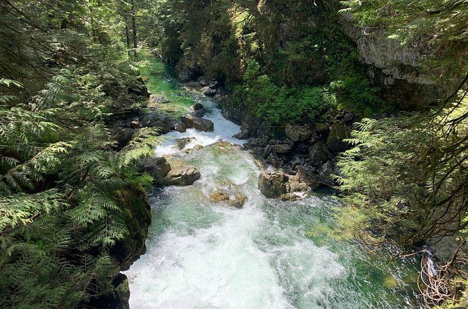 Vancouver Rainforest Hike with Waterfalls, Suspension Bridge, Old Growth Forest