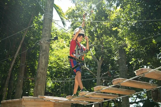 Discovery Trek - 1 Hour Kids Aerial Park Adventure in Miami